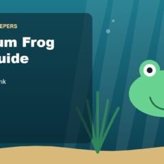 Illustration for the Beginners Fish Keepers article Aquarium Frog Care Guide for Beginners: Tank Size, Food, Tank Mates & Health