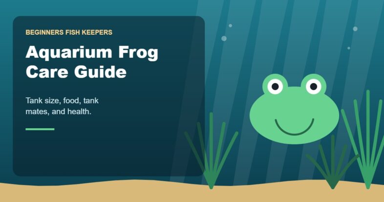 Illustration for the Beginners Fish Keepers article Aquarium Frog Care Guide for Beginners: Tank Size, Food, Tank Mates & Health