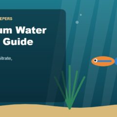 Illustration for the Beginners Fish Keepers article Aquarium Water Quality Guide
