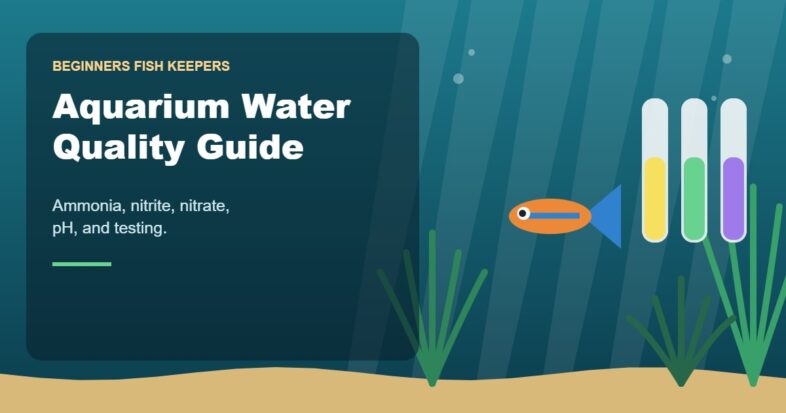 Illustration for the Beginners Fish Keepers article Aquarium Water Quality Guide