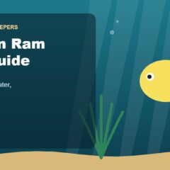 Illustration for the Beginners Fish Keepers article Bolivian Ram Care Guide for Beginners: Tank Size, Food, Water & Health