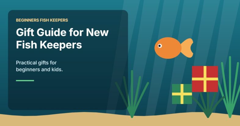 Illustration for the Beginners Fish Keepers article Gift Guide for New Fish Keepers (2026): Practical Gifts for Beginners and Kids