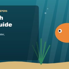 Illustration for the Beginners Fish Keepers article Goldfish Care Guide for Beginners: Tank Size, Food, Water & Health