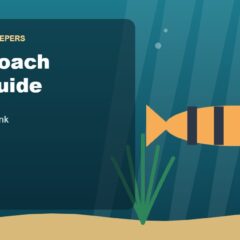 Illustration for the Beginners Fish Keepers article Kuhli Loach Care Guide for Beginners: Tank Size, Food, Tank Mates & Health