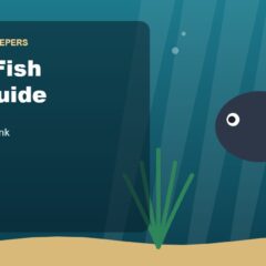 Illustration for the Beginners Fish Keepers article Oscar Fish Care Guide for Beginners: Tank Size, Food, Tank Mates & Health